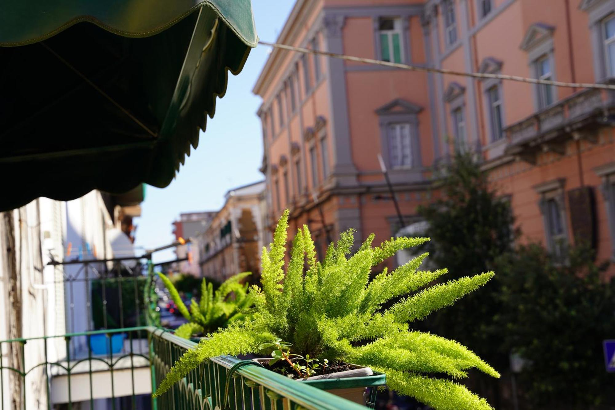 La Maison Di Donna Elena Panzió Cercola Kültér fotó